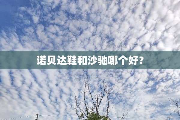 诺贝达鞋和沙驰哪个好？