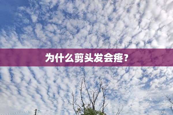 为什么剪头发会疼？