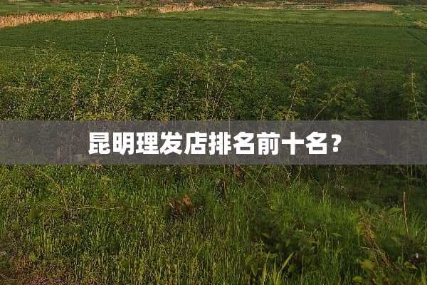 昆明理发店排名前十名？