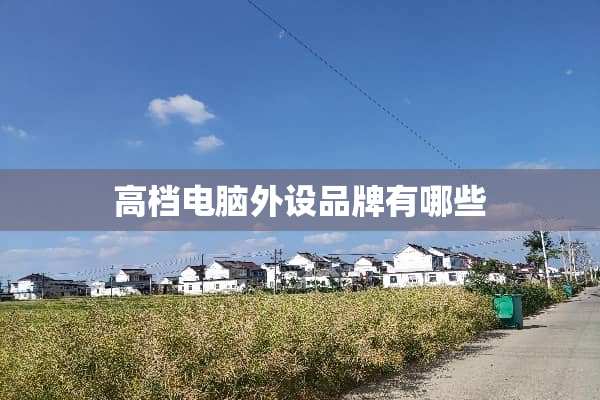 高档电脑外设品牌有哪些