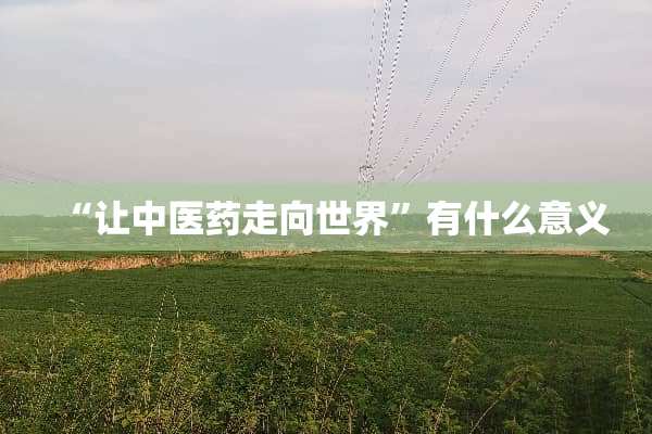 “让中医药走向世界”有什么意义