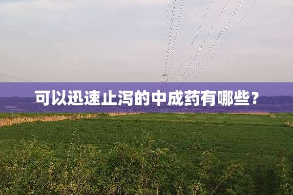 可以迅速止泻的中成药有哪些？