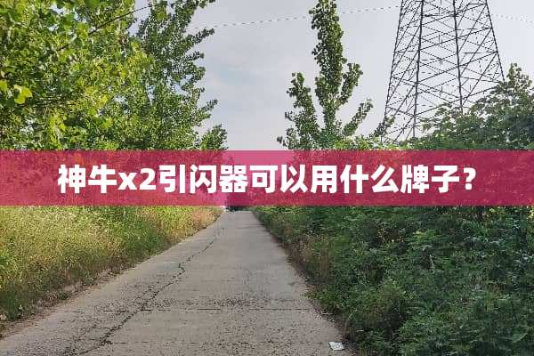 神牛x2引闪器可以用什么牌子？