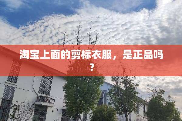 淘宝上面的剪标衣服，是正品吗？