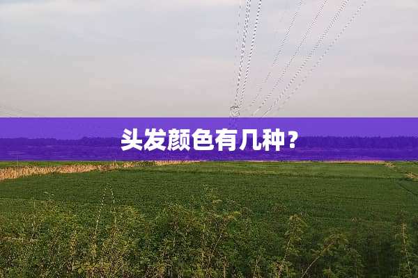 头发颜色有几种？