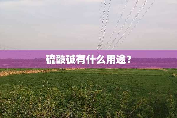 硫酸碱有什么用途？