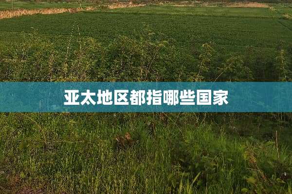 亚太地区都指哪些国家