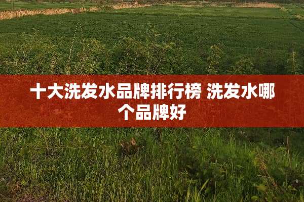 十大洗发水品牌排行榜 洗发水哪个品牌好