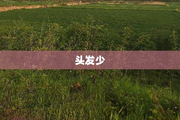头发少
