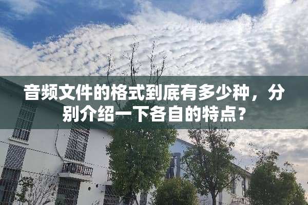 音频文件的格式到底有多少种，分别介绍一下各自的特点？
