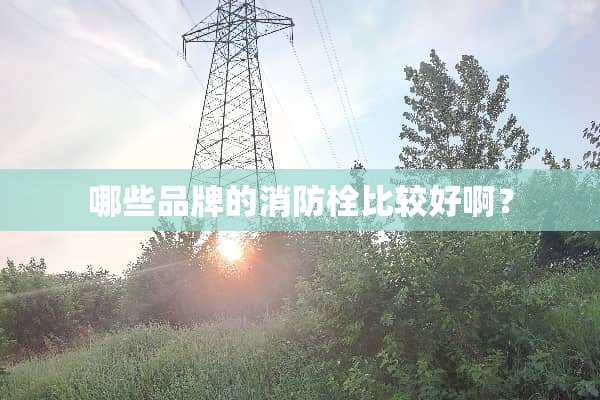哪些品牌的消防栓比较好啊？