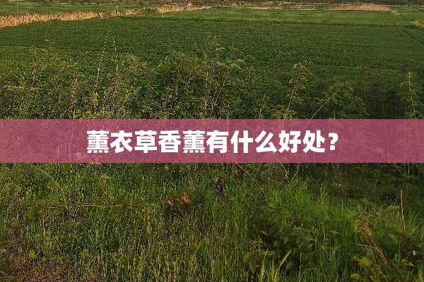 薰衣草香薰有什么好处？