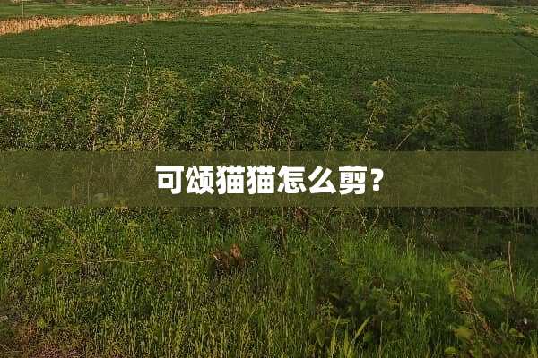 可颂猫猫怎么剪？