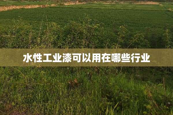 水性工业漆可以用在哪些行业