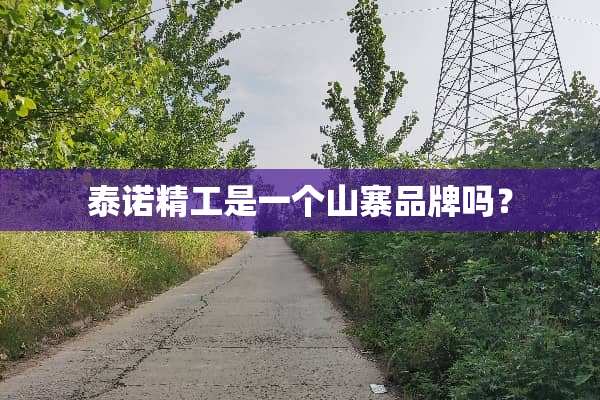 泰诺精工是一个山寨品牌吗？