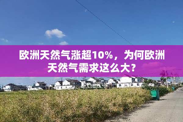 欧洲天然气涨超10%，为何欧洲天然气需求这么大？