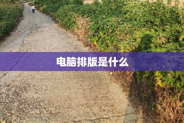 电脑排版是什么