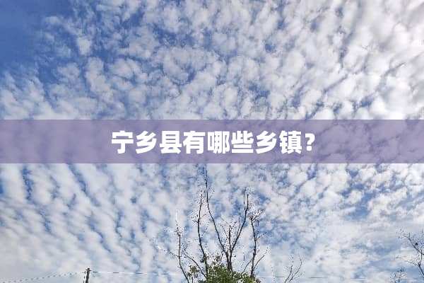 宁乡县有哪些乡镇？