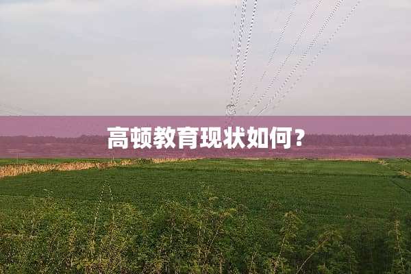 高顿教育现状如何？