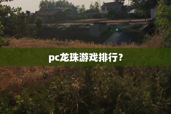 pc龙珠游戏排行？