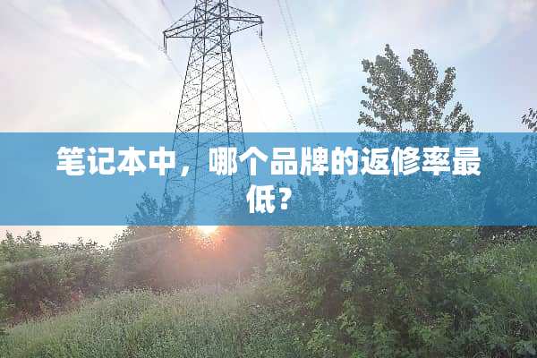 笔记本中，哪个品牌的返修率最低？