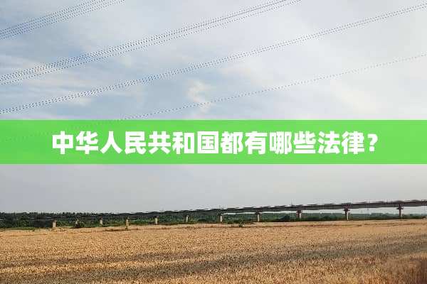 中华人民共和国都有哪些法律？