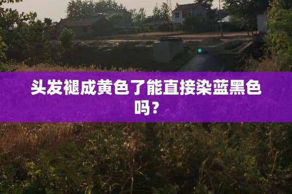 头发褪成黄色了能直接染蓝黑色吗？