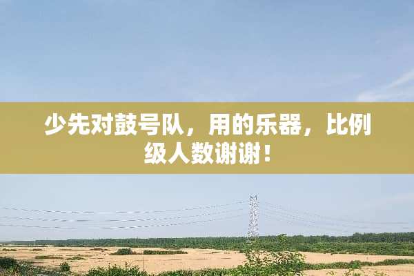 少先对鼓号队，用的乐器，比例级人数谢谢！