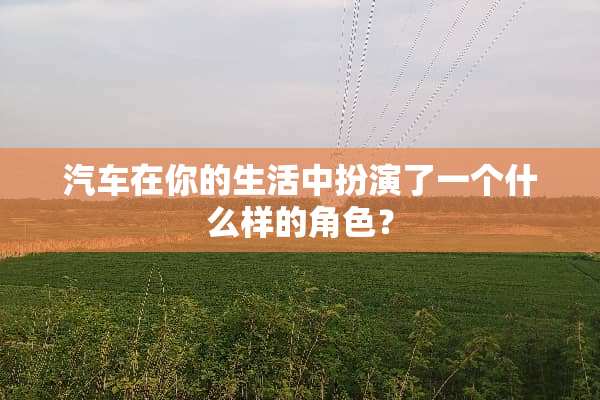 汽车在你的生活中扮演了一个什么样的角色？