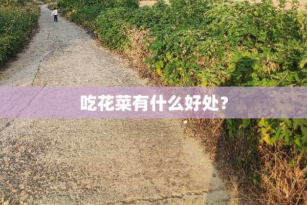 吃花菜有什么好处？