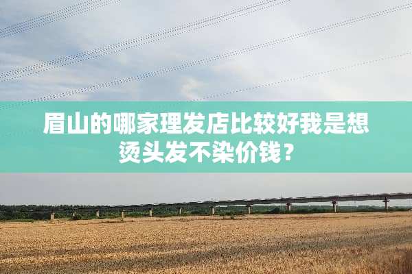眉山的哪家理发店比较好我是想烫头发不染价钱？