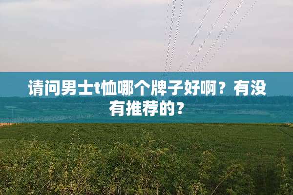 请问男士t恤哪个牌子好啊？有没有推荐的？