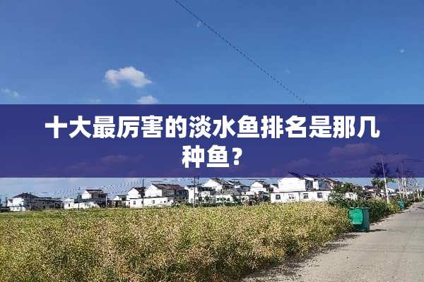 十大最厉害的淡水鱼排名是那几种鱼？