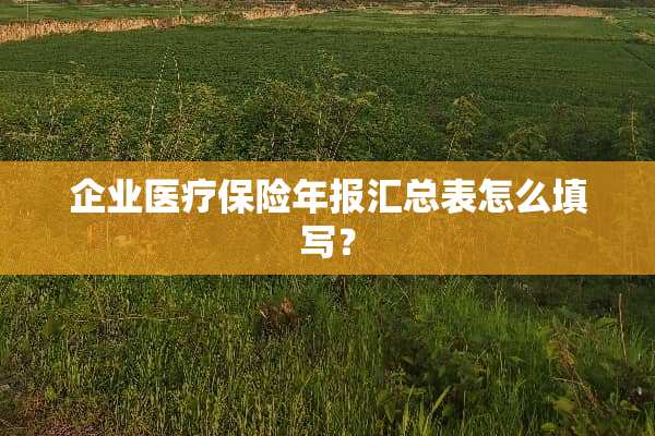 企业医疗保险年报汇总表怎么填写？