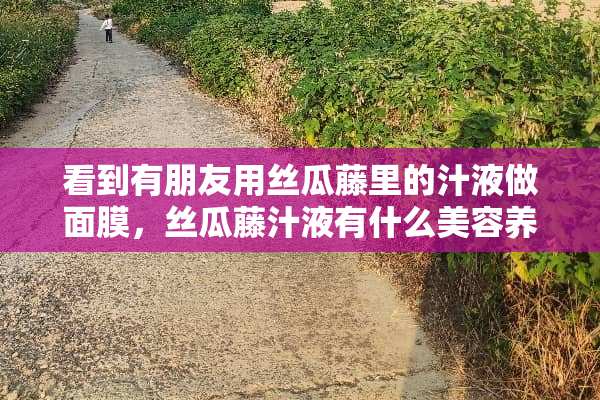 看到有朋友用丝瓜藤里的汁液做面膜，丝瓜藤汁液有什么美容养生功效？