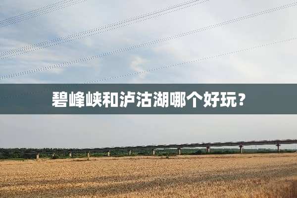 碧峰峡和泸沽湖哪个好玩？