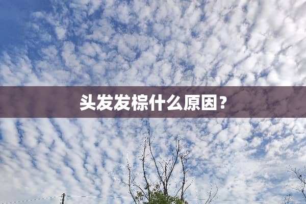 头发发棕什么原因？