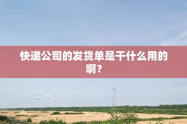 快递公司的发货单是干什么用的啊？