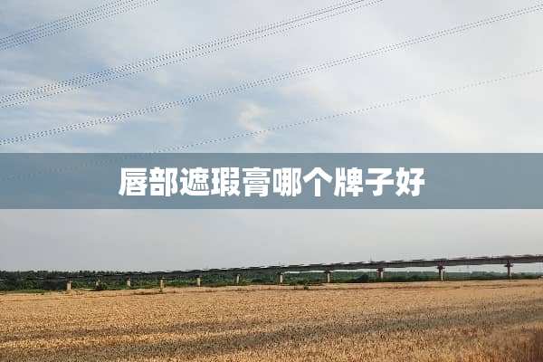 唇部遮瑕膏哪个牌子好
