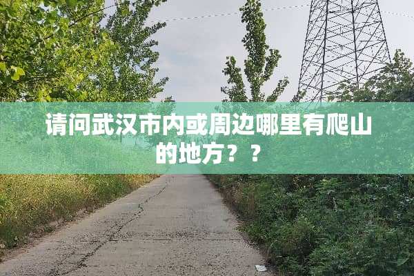请问武汉市内或周边哪里有爬山的地方？？