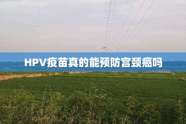 HPV**真的能预防宫颈癌吗