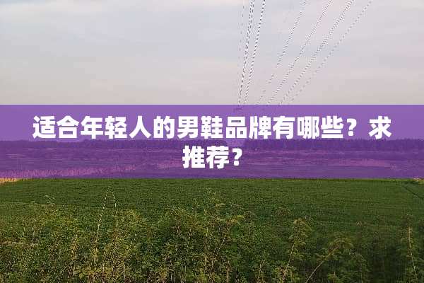 适合年轻人的男鞋品牌有哪些？求推荐？