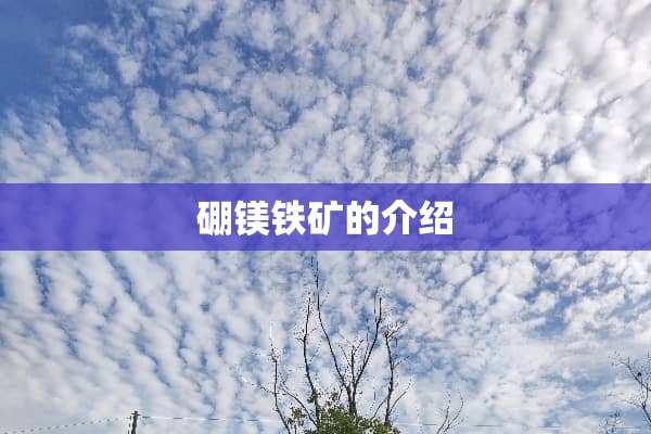 硼镁铁矿的介绍