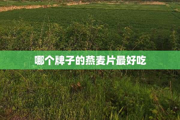哪个牌子的燕麦片最好吃
