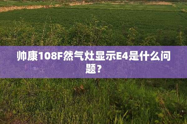 帅康108F然气灶显示E4是什么问题？