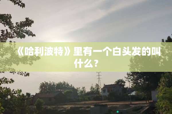 《哈利波特》里有一个白头发的叫什么？