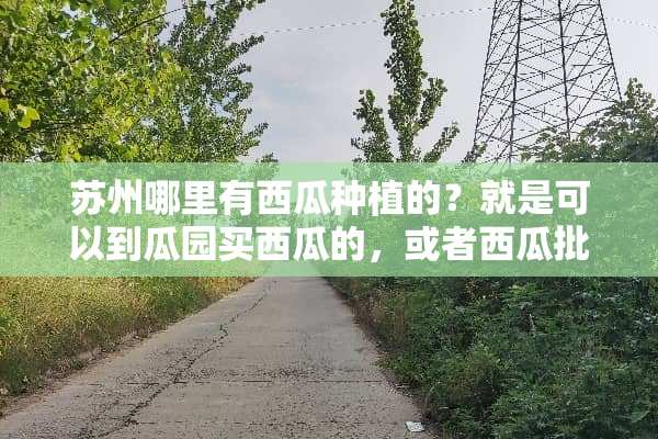苏州哪里有西瓜种植的？就是可以到瓜园买西瓜的，或者西瓜批发市场，