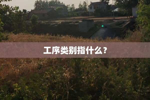 工序类别指什么？