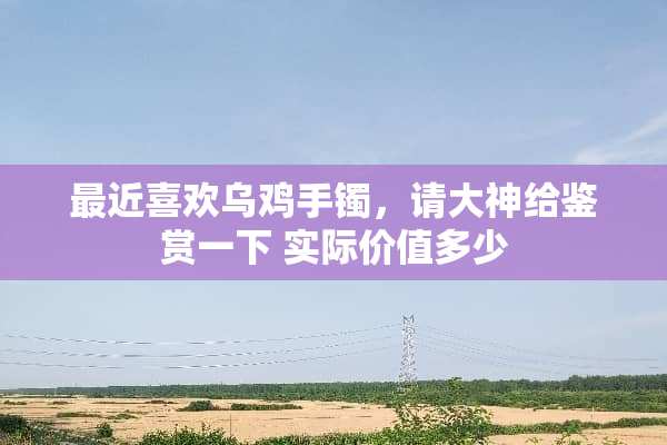 最近喜欢乌鸡手镯，请大神给鉴赏一下 实际价值多少