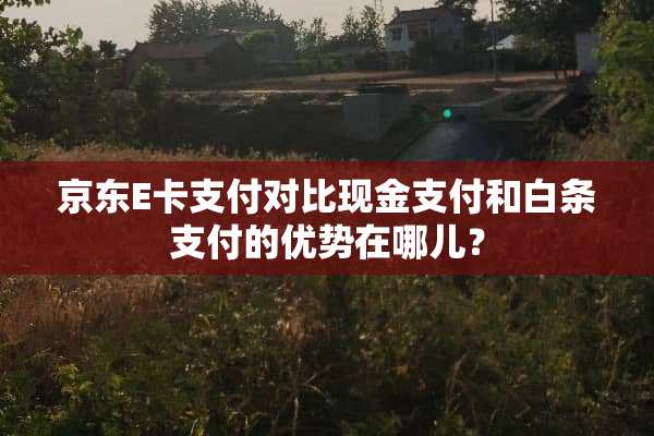 京东E卡支付对比现金支付和白条支付的优势在哪儿？